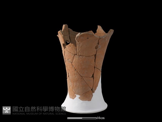 連杯藏品圖，第2張