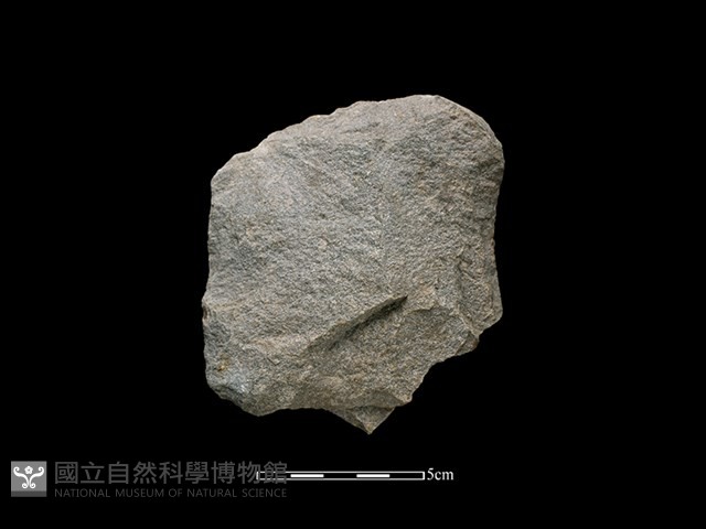 斧鋤形器藏品圖，第2張