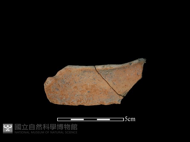 陶罐藏品圖，第2張