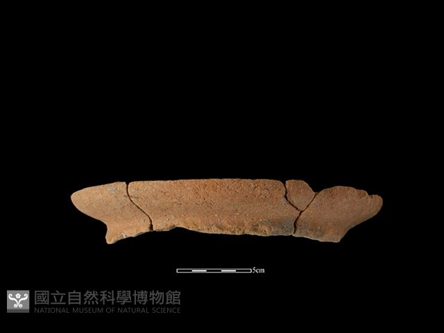 陶罐藏品圖，第2張