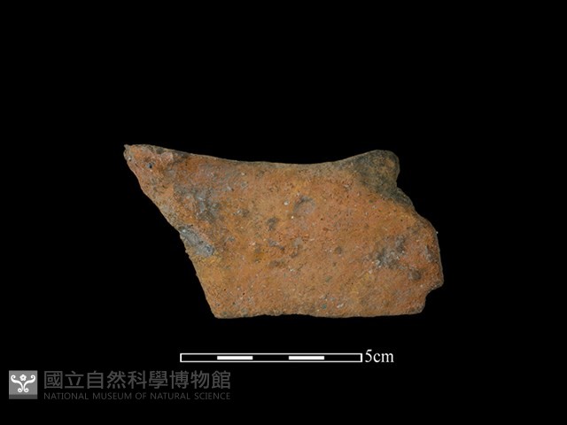 陶罐藏品圖，第2張