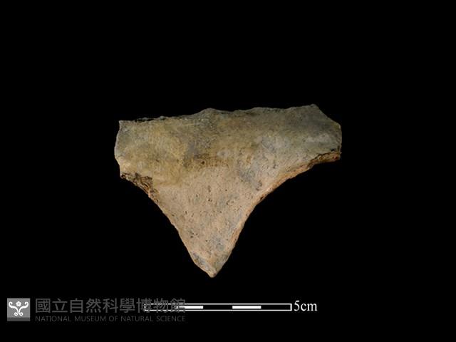 連杯形器藏品圖，第2張