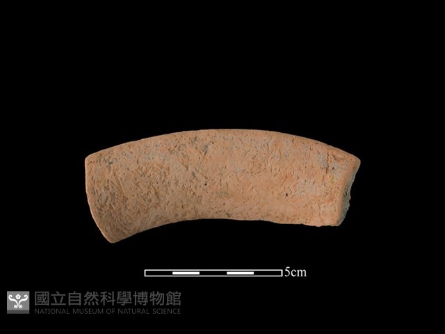 陶罐藏品圖，第2張
