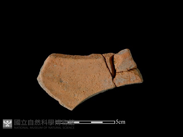 陶缽藏品圖，第2張
