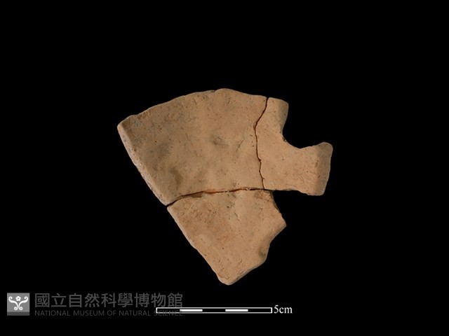 連杯形器藏品圖，第2張
