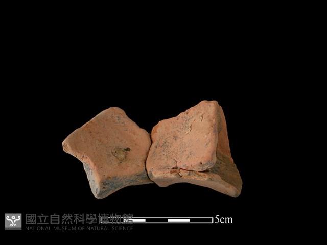 連杯形器藏品圖，第2張