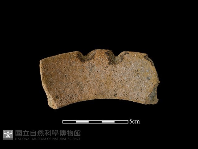 陶罐藏品圖，第2張