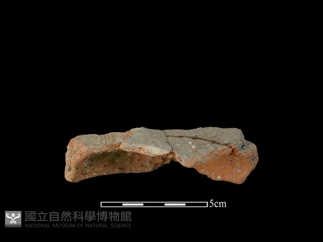 陶罐藏品圖，第2張