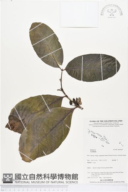 登錄號:BS03839藏品圖，第2張