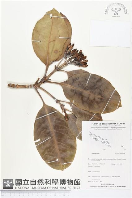 登錄號:BS03448藏品圖，第2張