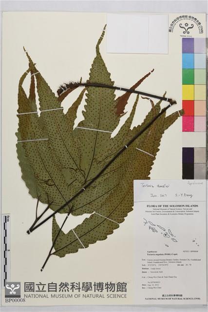 登錄號:BP00008藏品圖，第2張