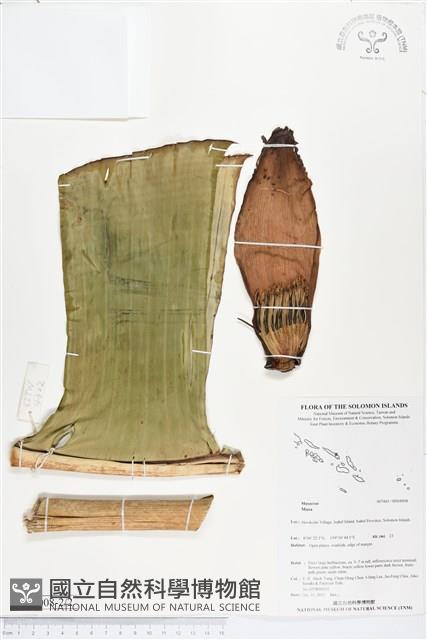 登錄號:BS04008藏品圖，第2張