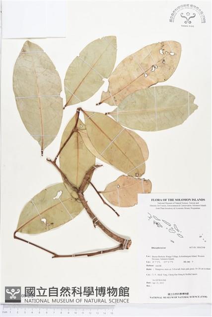 登錄號:BS02508藏品圖，第2張