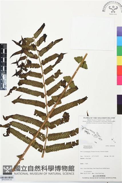 登錄號:BP03438藏品圖，第2張