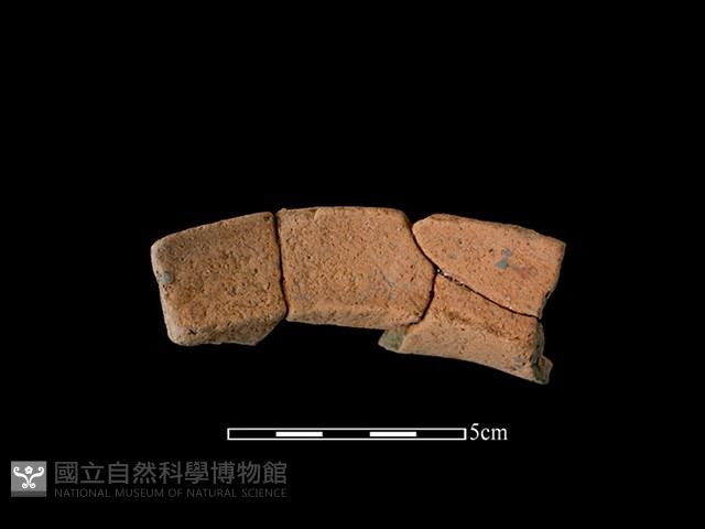 陶罐藏品圖，第2張