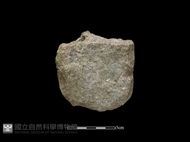 斧鋤形器藏品圖，第2張