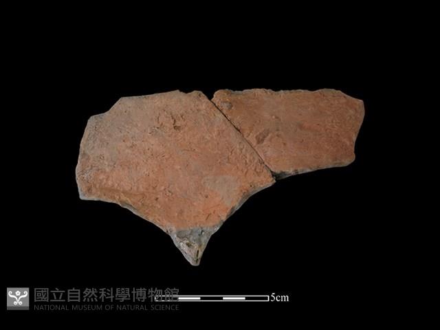 連杯形器藏品圖，第2張