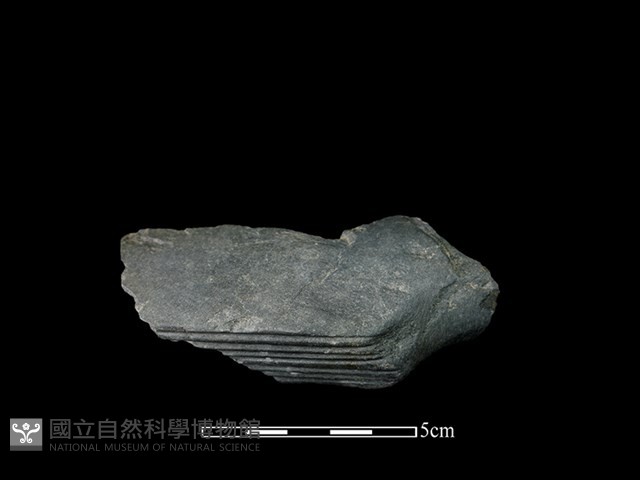 樹皮布打棒藏品圖，第2張