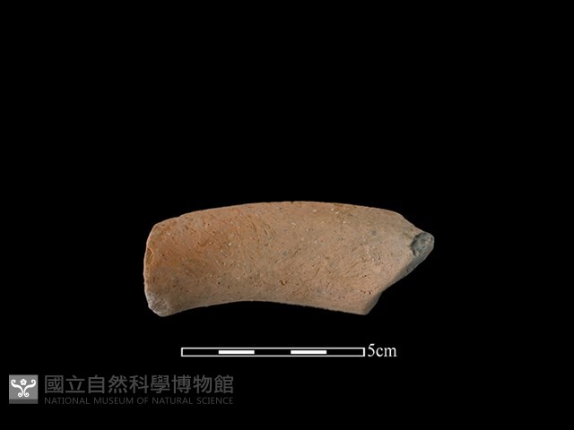 陶罐藏品圖，第2張