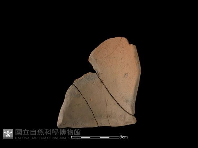 連杯形器藏品圖，第2張