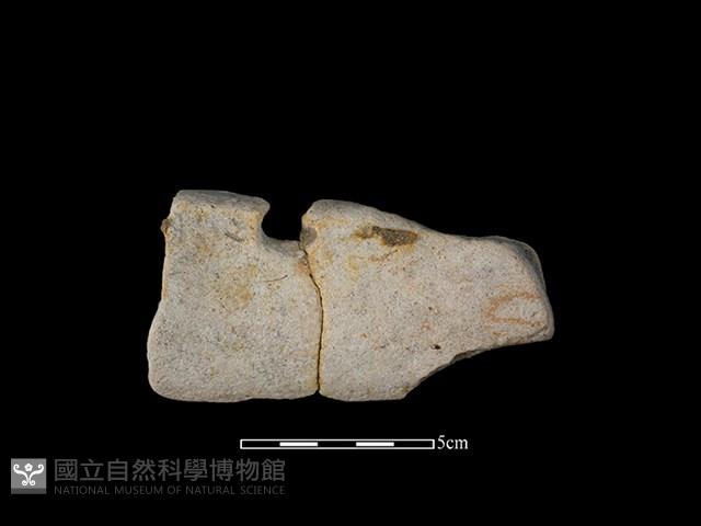 陶罐藏品圖，第2張