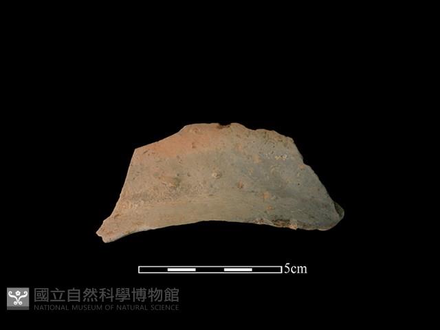 連杯形器藏品圖，第2張