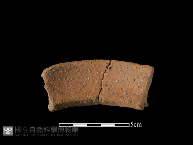 陶罐藏品圖，第2張
