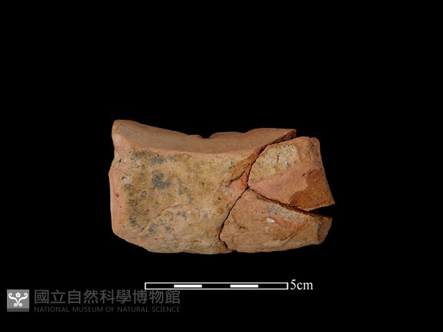 陶罐藏品圖，第2張