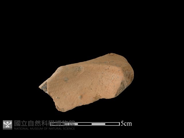 連杯形器藏品圖，第2張