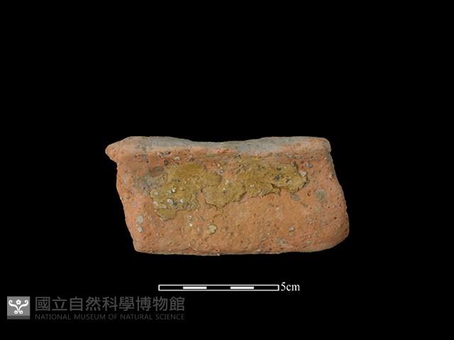 陶罐藏品圖，第2張