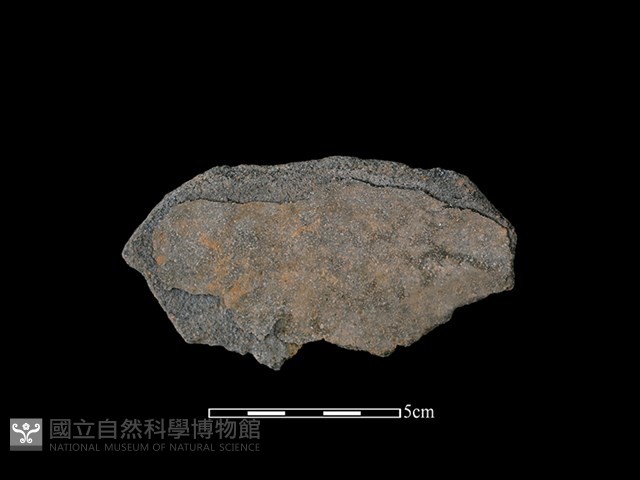 陶缽藏品圖，第2張