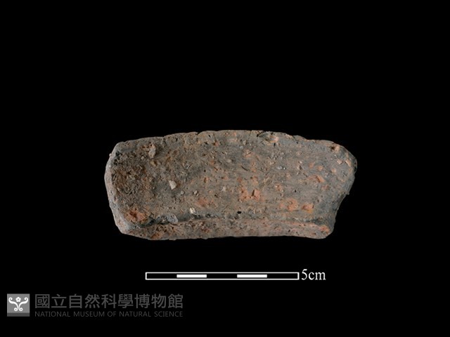 陶罐藏品圖，第2張