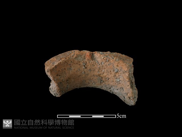 陶罐藏品圖，第2張