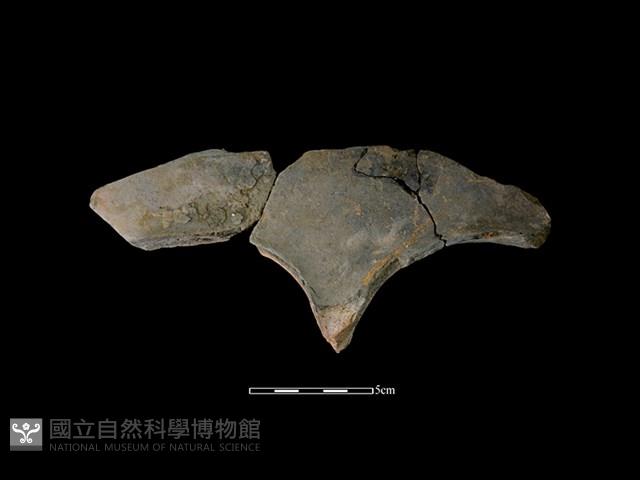 連杯形器藏品圖，第2張