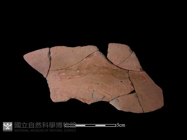 連杯形器藏品圖，第2張