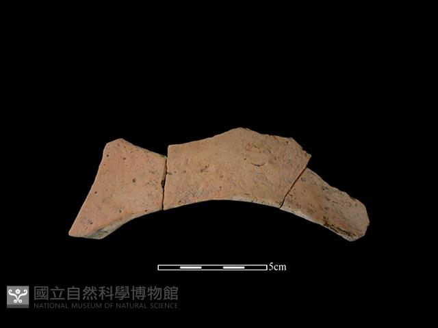 連杯形器藏品圖，第2張