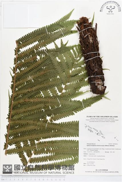 登錄號:BP00036藏品圖，第2張