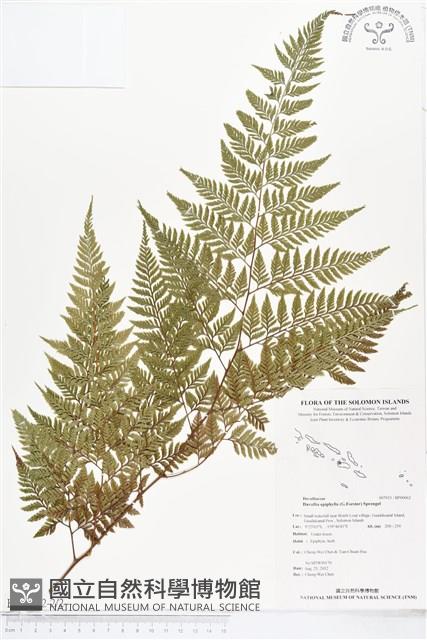 登錄號:BP00062藏品圖，第2張