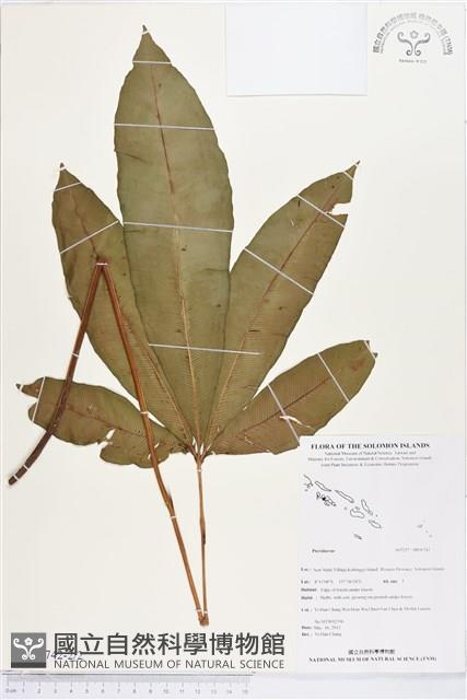 登錄號:BP00742藏品圖，第2張