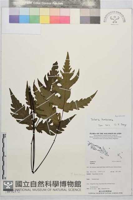 登錄號:BP02172藏品圖，第2張