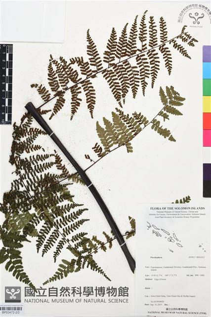 登錄號:BP03472藏品圖，第2張