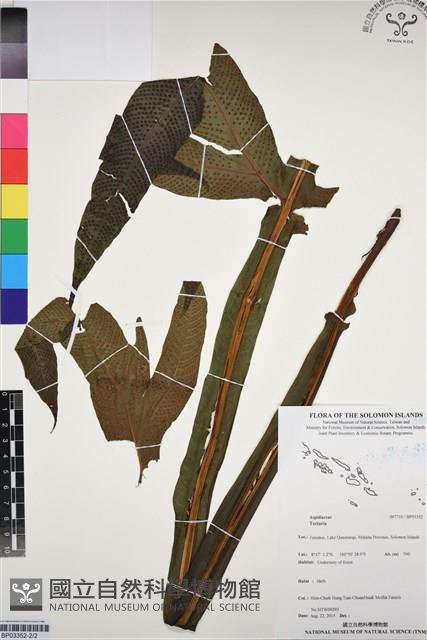 Accession Number:BP03352 Collection Image, Figure 2, Total 2 Figures