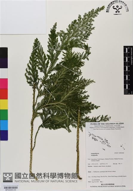 登錄號:BP03040藏品圖，第2張