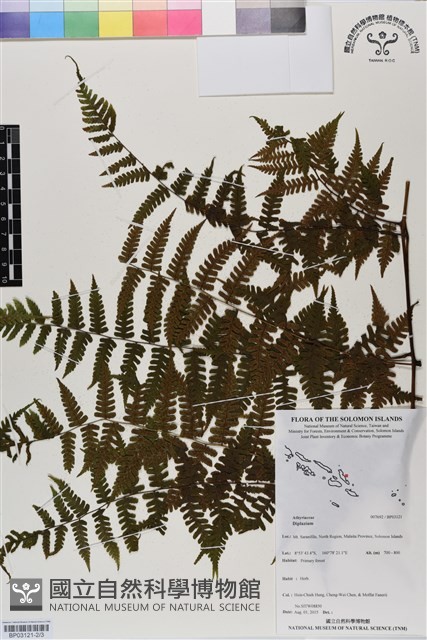 登錄號:BP03121藏品圖，第2張