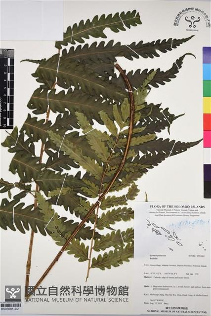 登錄號:BP03081藏品圖，第2張