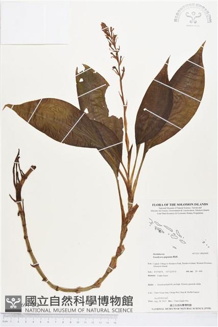 登錄號:BS03691藏品圖，第2張