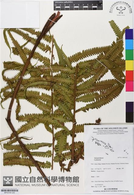 登錄號:BP03191藏品圖，第2張