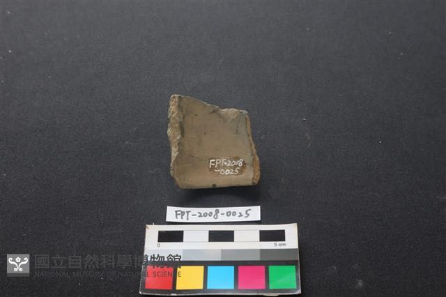 陶環藏品圖，第2張