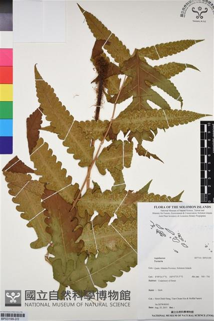 登錄號:BP03199藏品圖，第2張