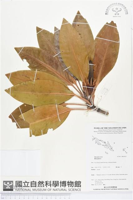 登錄號:BS04023藏品圖，第2張